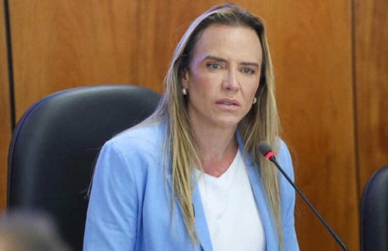 Celina Leão tem noite tranquila após procedimento médico