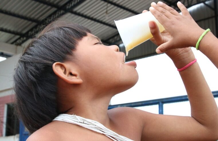 Consumo de alimentos ultraprocessados cresce entre povos tradicionais