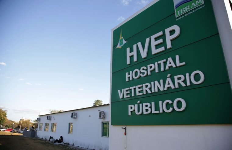 DF abre consulta pública para aprimorar serviço veterinário público