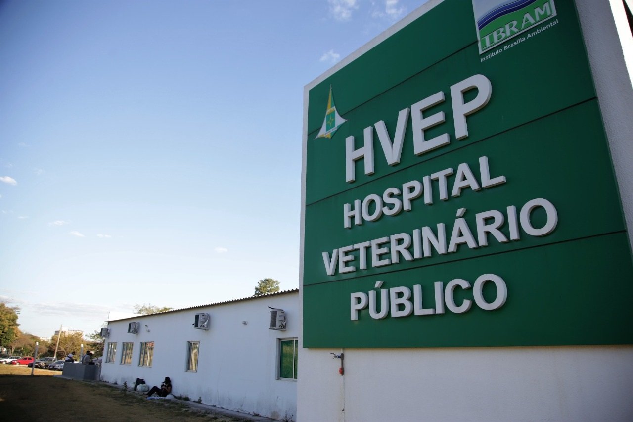 DF abre consulta pública para aprimorar serviço veterinário público