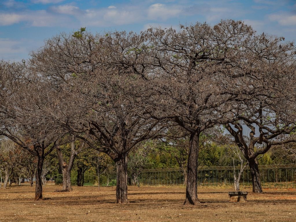 DF entra em período de seca com umidade em declínio e temperaturas de até 28°C 