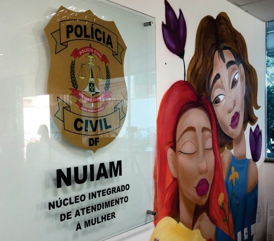 Delegada das mulheres no DF defende atuação de acompanhamento psicossocial para combater violências