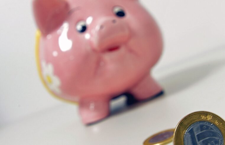 Entenda como funciona investir no Tesouro Reserva