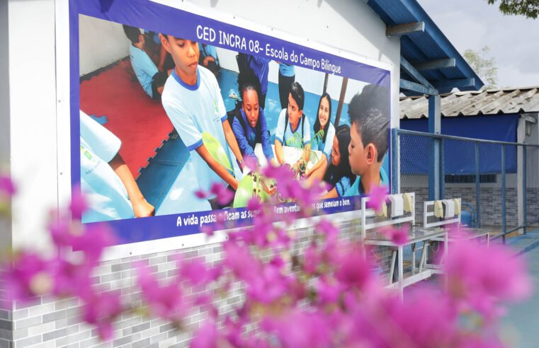 Escolas do DF registram melhora no rendimento após proibição de celulares