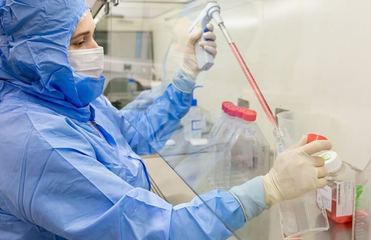 Estudo usa células-tronco contra complicações do transplante de medula
