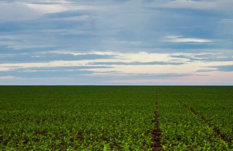 Fazenda estuda Fundo Garantidor para dívidas rurais