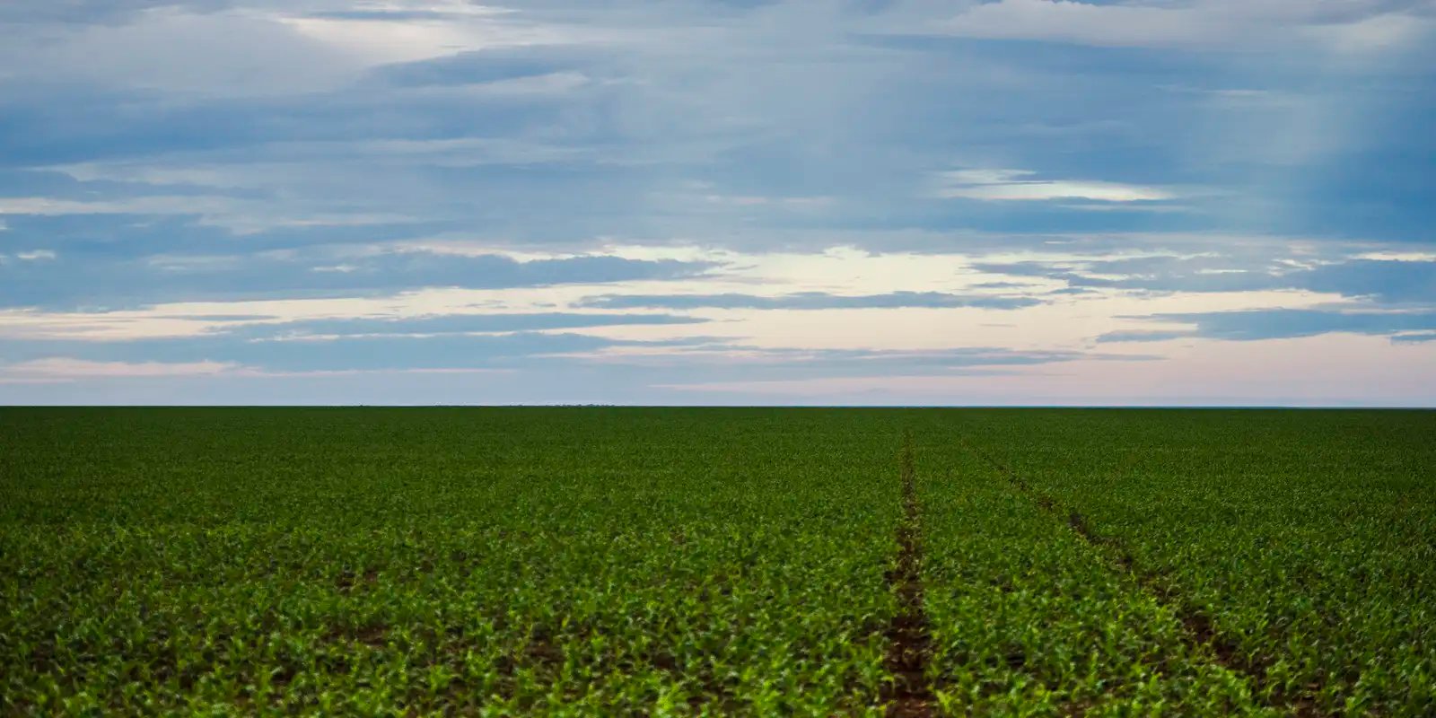 Fazenda estuda Fundo Garantidor para dívidas rurais