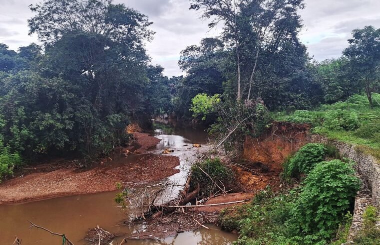 GDF abre chamamento para recuperar vegetação na bacia do rio Melchior