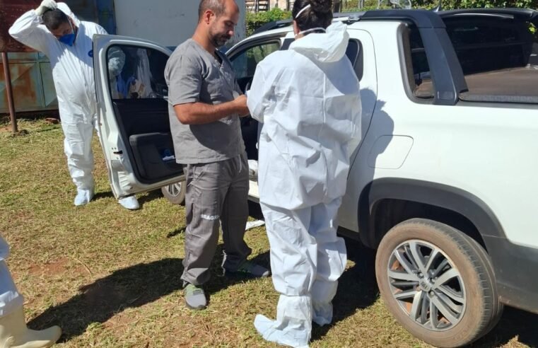 GDF reforça prevenção contra gripe aviária no DF