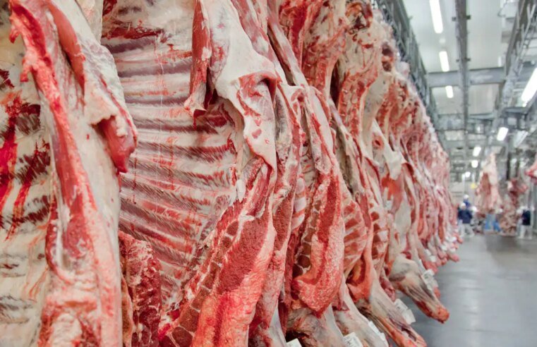 Governo promete reverter veto da UE a carnes e animais brasileiros