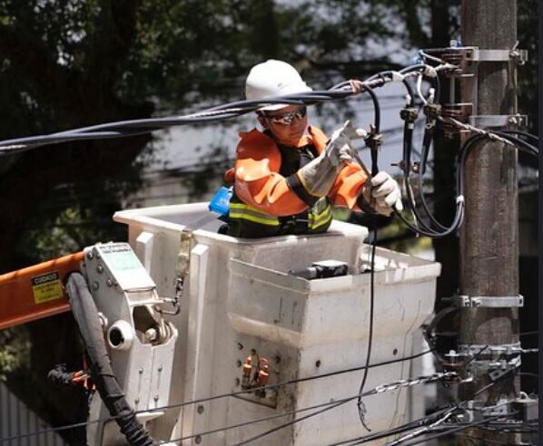 Jardim Botânico terá desligamento de energia nesta sexta-feira