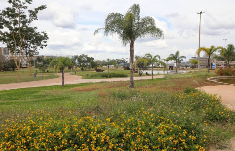 Jardim Burle Marx reforça turismo e rotina no centro de Brasília