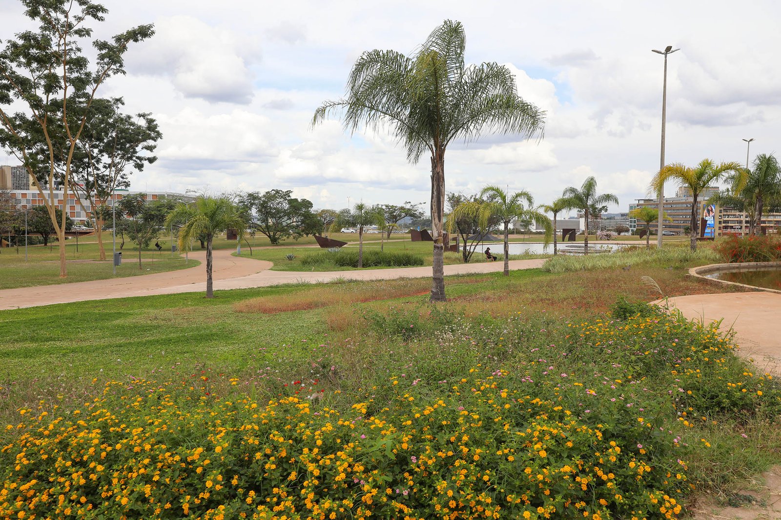 Jardim Burle Marx reforça turismo e rotina no centro de Brasília