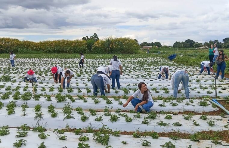 Mais de 100 mulheres são certificadas em programa rural em Brazlândia