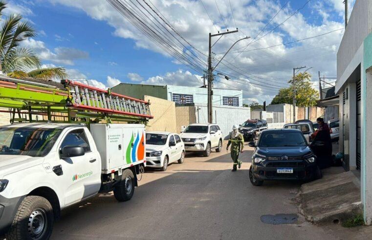 Operação CriptoGato desmonta mineradora ilegal de criptomoedas em Arniqueiras