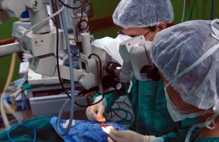 Risco cardíaco dobra para pacientes com doença de Chagas após cirurgia