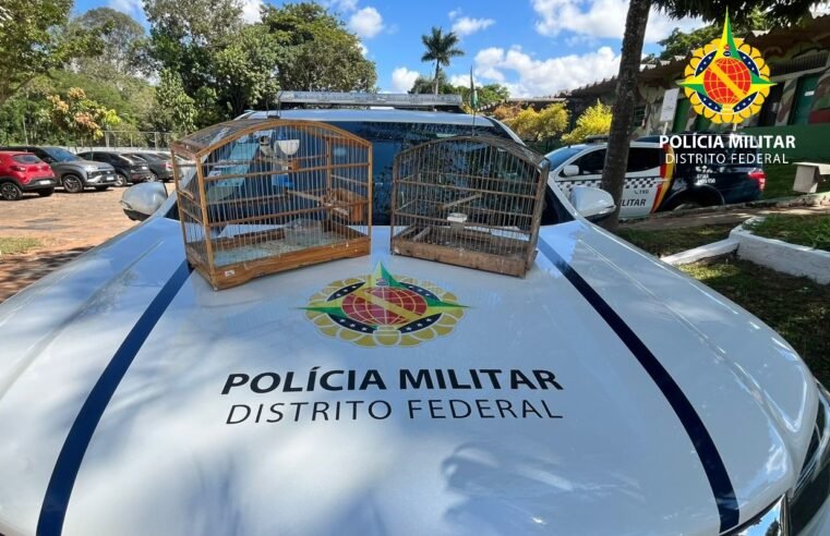Três pessoas são autuadas por crimes ambientais em Ceilândia e Candangolândia