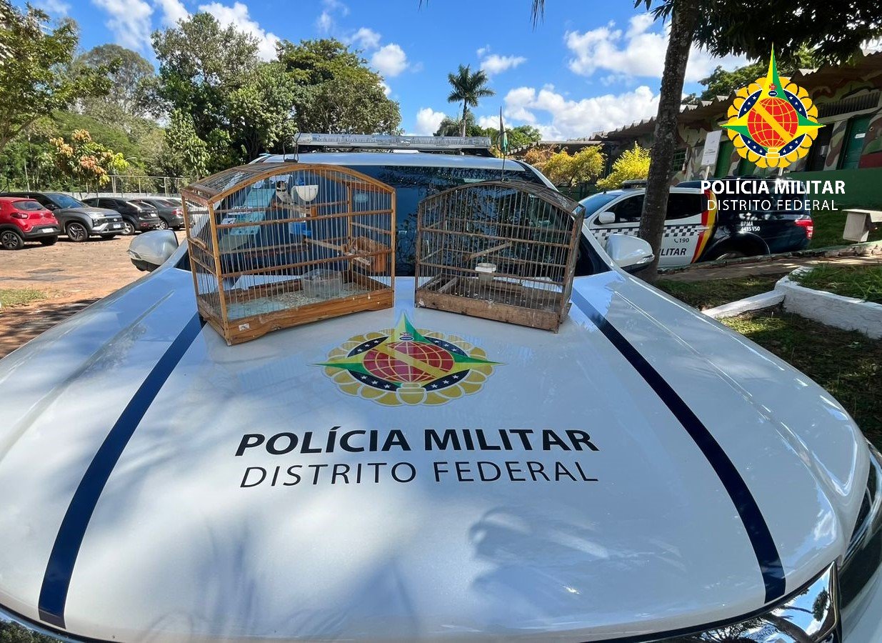 Três pessoas são autuadas por crimes ambientais em Ceilândia e Candangolândia