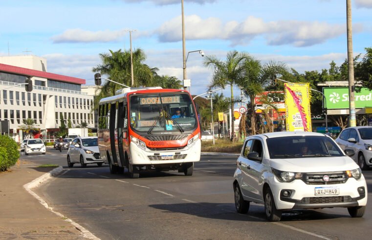 Zebrinhas superam 21 mil acessos diários e ganham espaço no DF