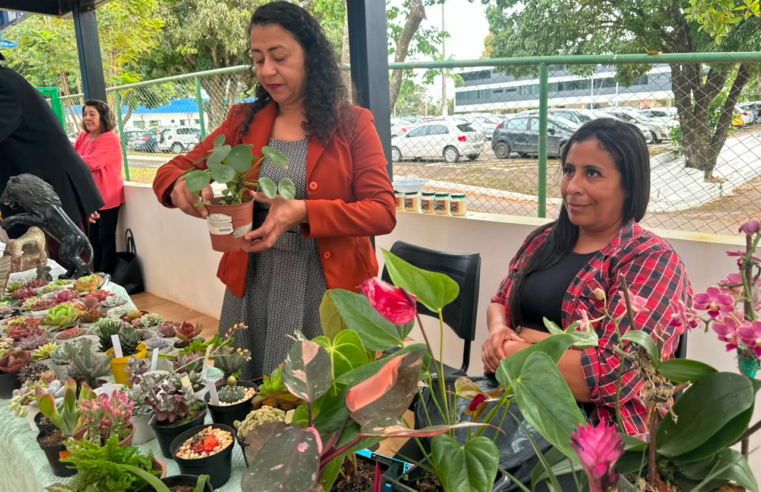 Feira junina dos Consegs rurais valoriza agricultura familiar no DF