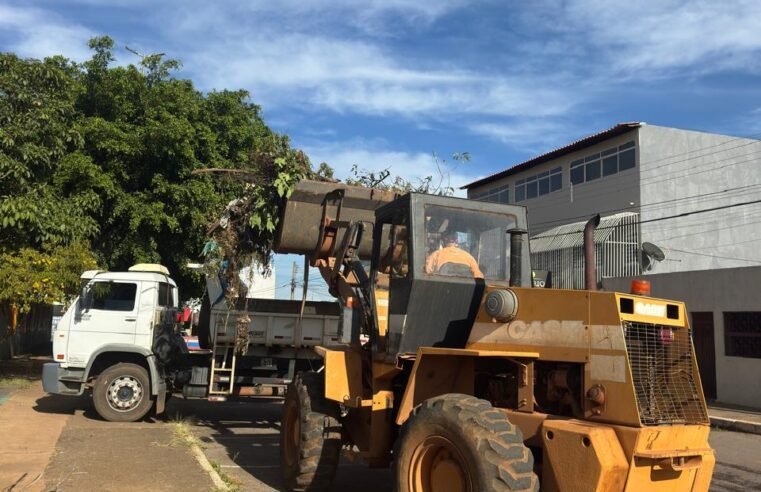 Força-tarefa retira 125 toneladas de entulho em Ceilândia