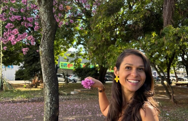 Ipês roxos abrem a temporada de floração no DF