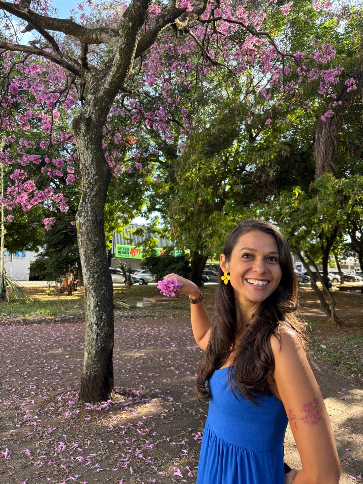 Ipês roxos abrem a temporada de floração no DF
