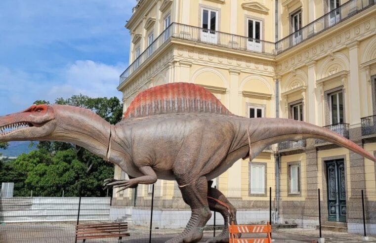 Museu Nacional ganha réplica de dinossauro brasileiro com 15 metros