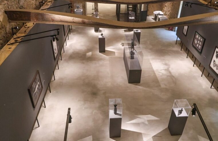 Museu Nacional lança exposições inéditas em comemoração aos 208 anos
