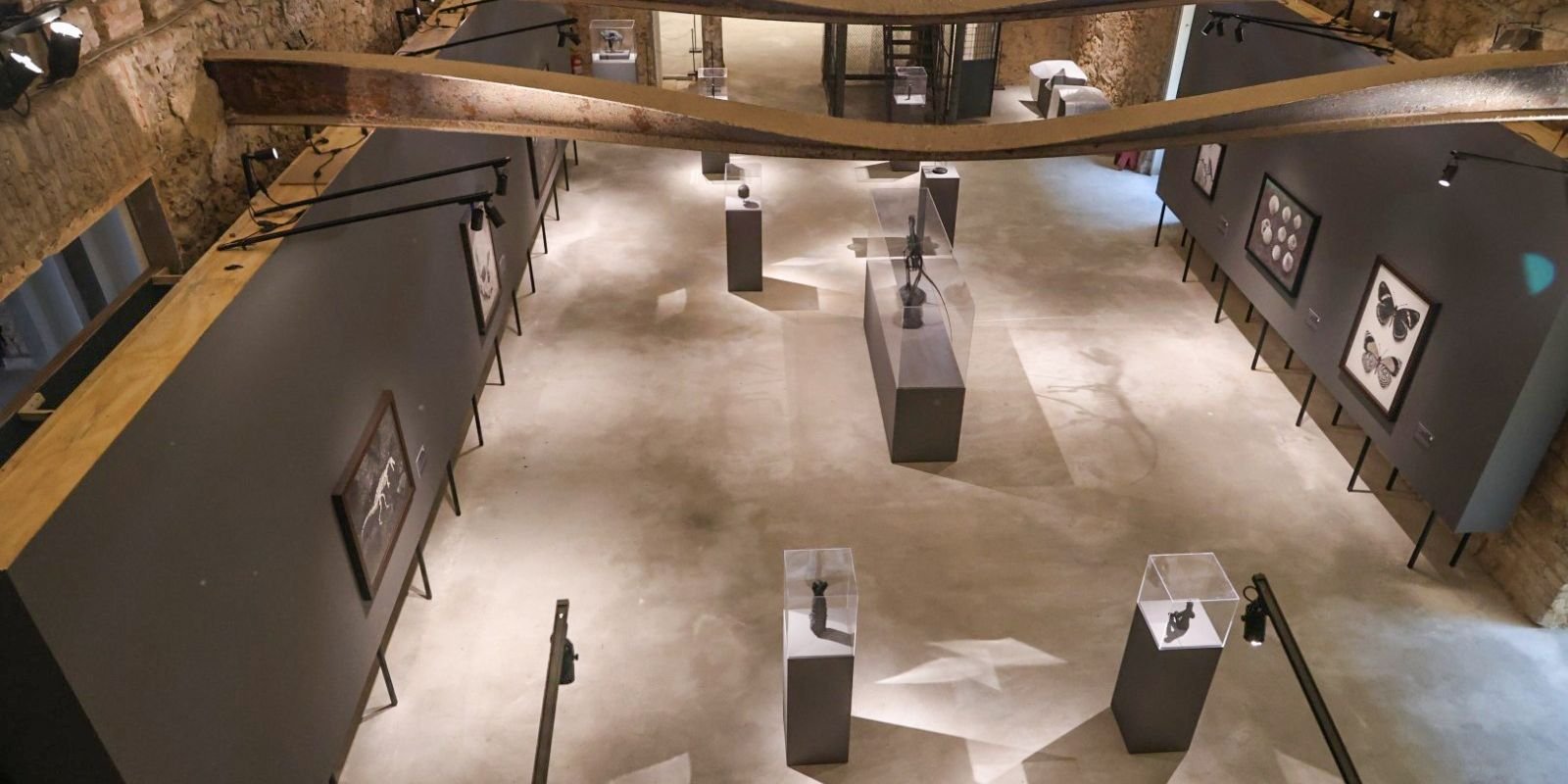 Museu Nacional lança exposições inéditas em comemoração aos 208 anos