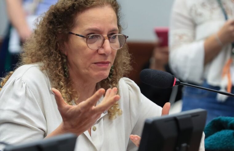 Parlamentares governistas vão aos EUA apresentar contraponto à direita