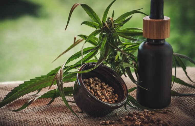 Projeto apoia mães e crianças atípicas tratadas à base de cannabis