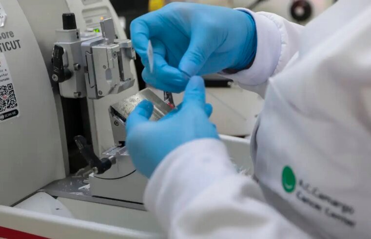 SUS inclui nova terapia para pacientes adultos com leucemia mieloide