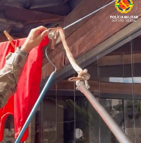 Serpente é resgatada em telhado de residência na Arniqueira