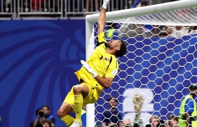 Vozinha rouba a cena e vira a grande sensação da Copa do Mundo
