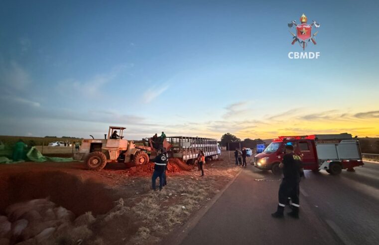 Caminhão carregado com porcos tomba na BR-020 e parte dos animais morre