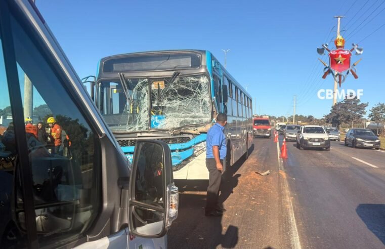 Colisão entre ônibus e caminhão deixa 14 feridos na EPNB