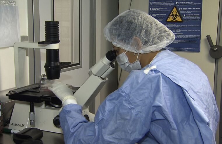 Como cientistas “curaram” pacientes infectados com HIV