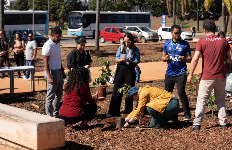 Cultiva Lab transforma área no centro de Brasília em laboratório vivo de educação ambiental