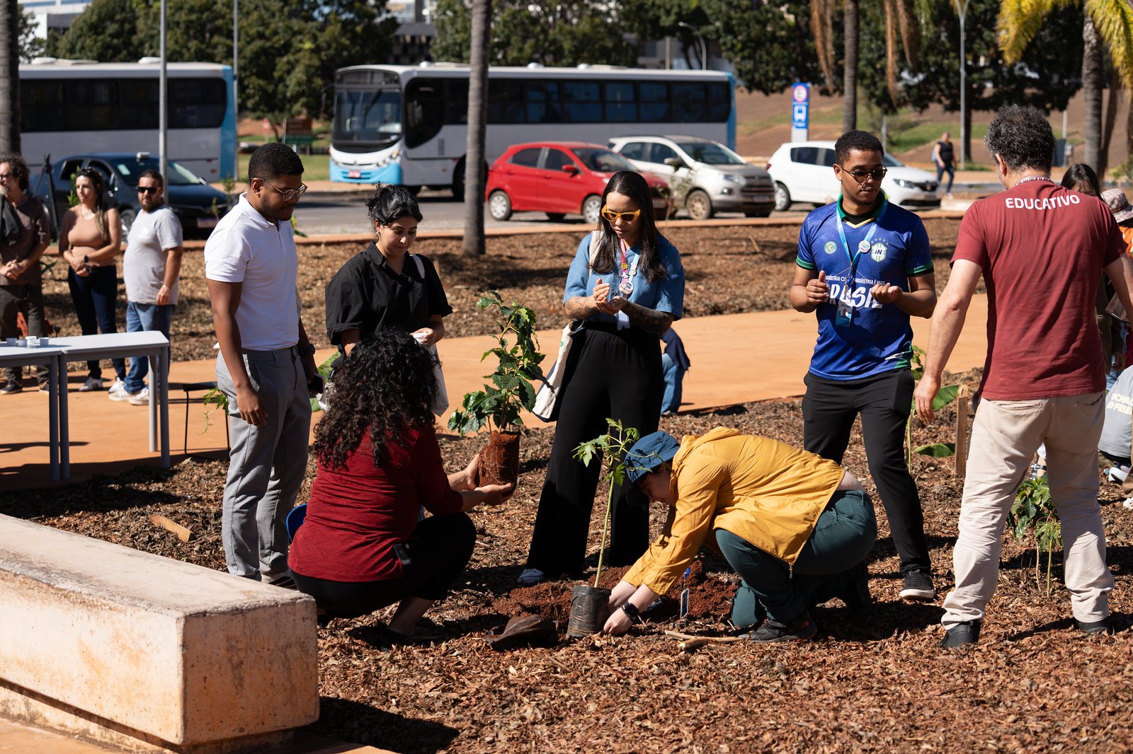 Cultiva Lab transforma área no centro de Brasília em laboratório vivo de educação ambiental