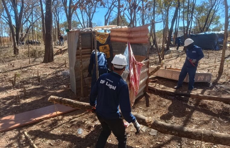 DF Legal retira 146 barracos irregulares nas proximidades do Parque Nacional de Brasília em nova operação contra grilagem