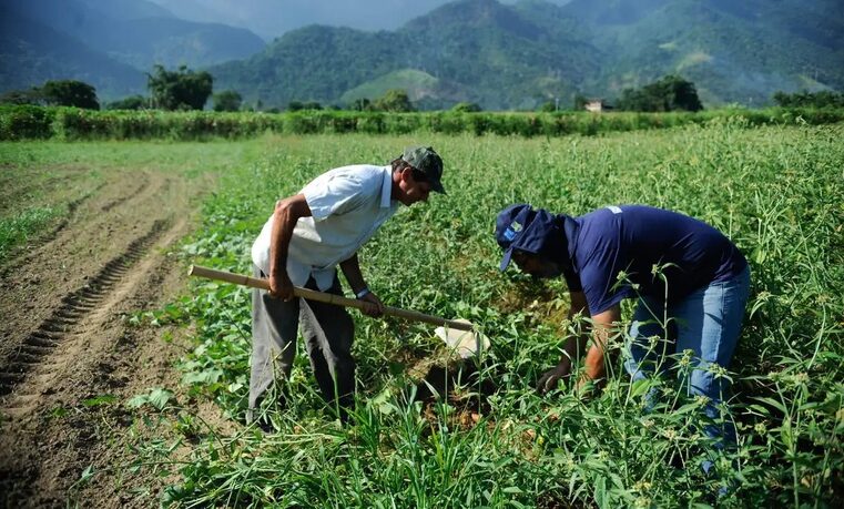 DF orienta como regularizar ocupação de área rural