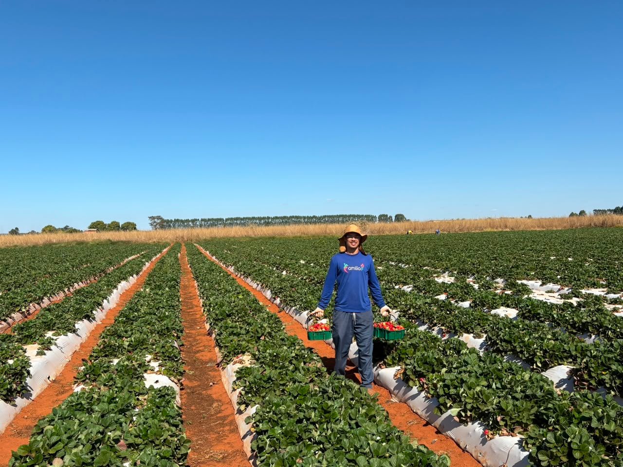 Do campo à mesa | Jornal de Brasília