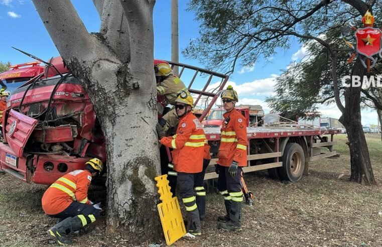 Duas pessoas ficam feridas após caminhão colidir contra árvore na EPIA Norte