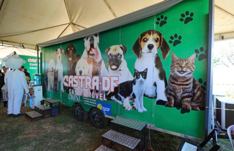 GDF oferece castração gratuita de animais no Recanto das Emas 