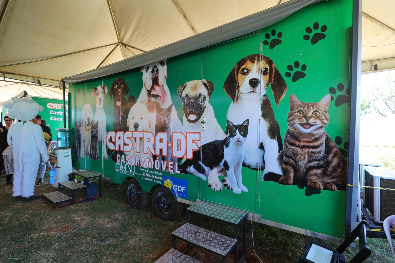 GDF oferece castração gratuita de animais no Recanto das Emas 