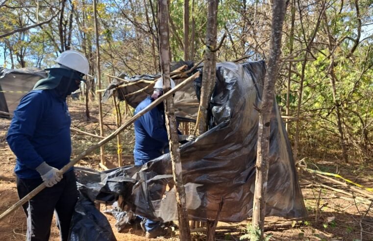 Grilagem ameaça área da APA do Planalto Central próxima ao Parque Nacional de Brasília