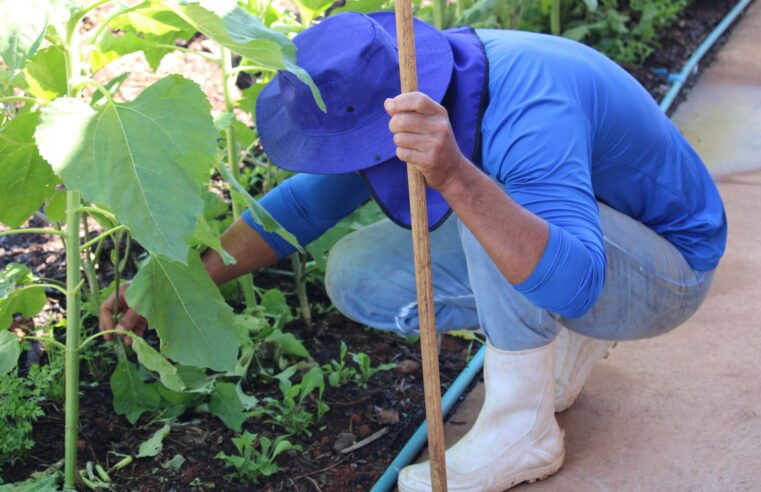 Horto agroflorestal é inaugurado na Papuda