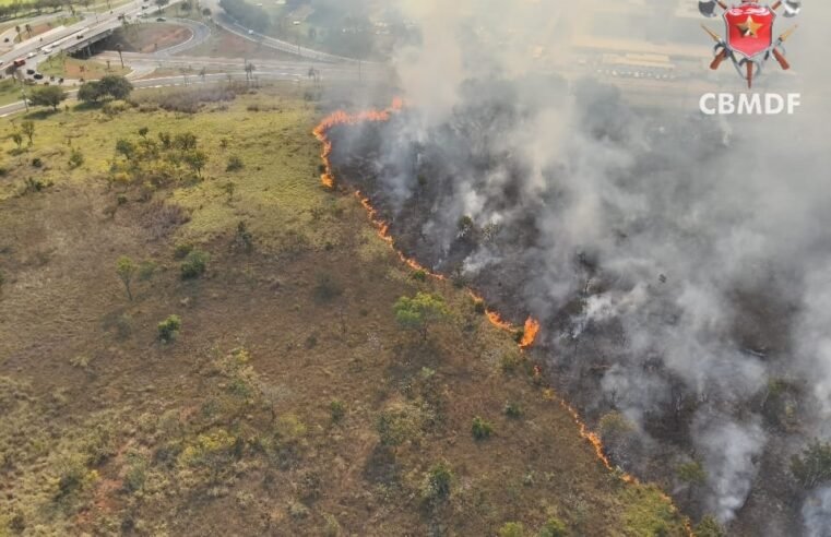 Incêndio em vegetação atinge 22 hectares no Setor de Clubes Sul e mobiliza bombeiros