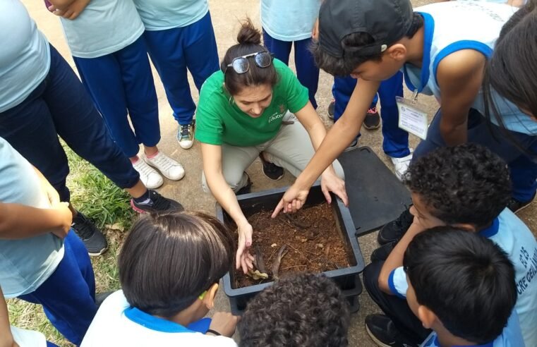 Inscrições do Parque Educador abrem nesta quarta no DF